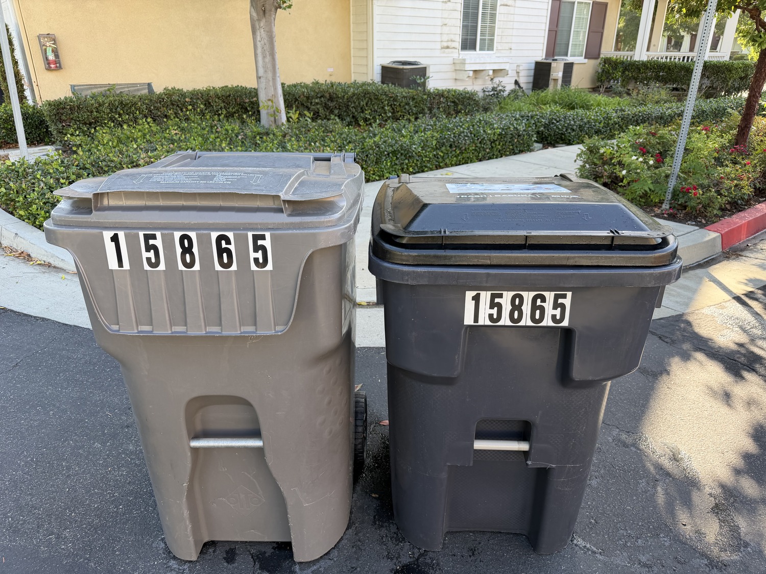 After: clean trash bins at the curb